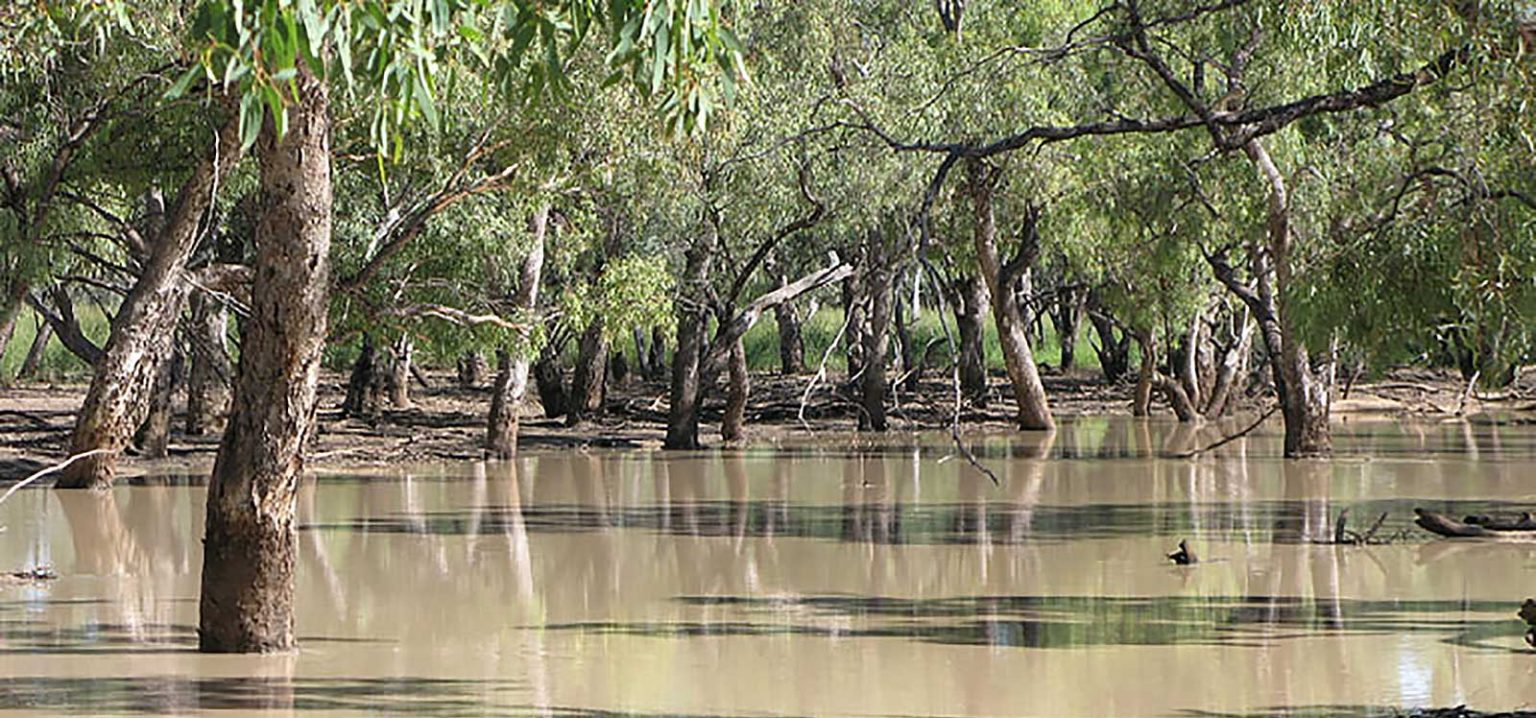 Culgoa National Park | The Darling River Run